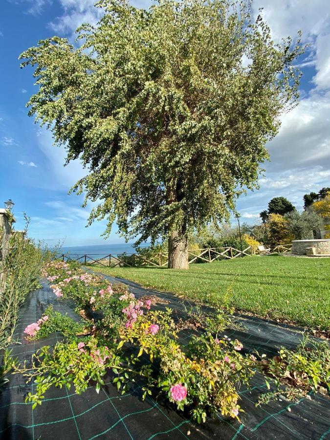 Residenza B&B Vistamare Petacciato Luaran gambar